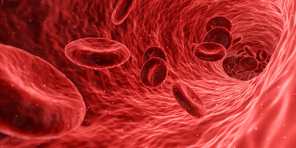 cosa.è.il.protidogramma